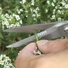 ENGINEER INC. Combination scissors PH-50