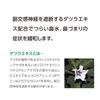 【第2類医薬品】ストナリニS 12錠