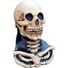 Skeleton mask for adult