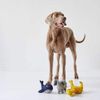 HUNTER Eiby Whale Dog Toy, Blue, 24 cm