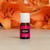 Young Living Acceptance - 5ml for Diffuser - Perfect for Meditation, Prayer, and Self-Care - Aromatic Blend for Positive Mindset - Emotional Wellness with Essential Oils
