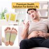 10pcs Bamboo Vinegar Foot Detox Patch Ginger Powder Refreshing Care Odor Control