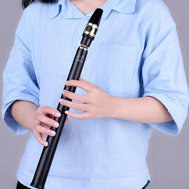 Mini Pocket Saxophone Material With Mouthpieces Reeds Carrying Bag Wood  Wind