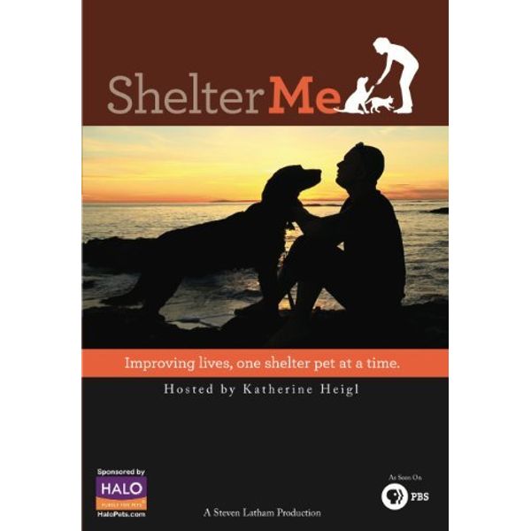 Shelter Me by Katherine Heigl