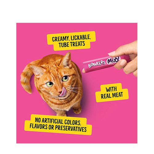 Bonkers Mixx Lickable Cat Treats, Succulent Salmon Flavor, Creamy Tube Treats, 4 Pack, 2 Pack