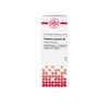Potentilla anserina D6 DHU Dilution, 20 ml Lösung