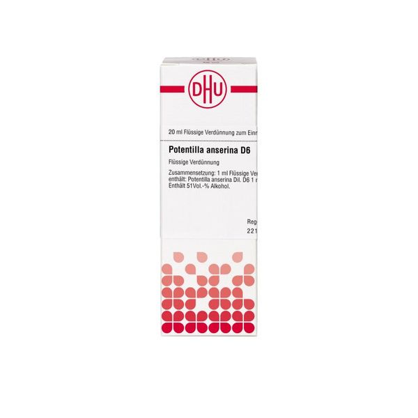 Potentilla anserina D6 DHU Dilution, 20 ml Lösung