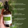 Lime Essential Oil by Velona - 16 Fl Oz | Therapeutic Grade for Aromatherapy Diffuser