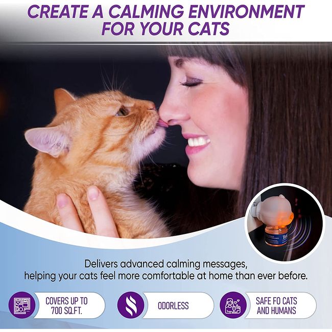 Diffuser for cat anxiety best sale