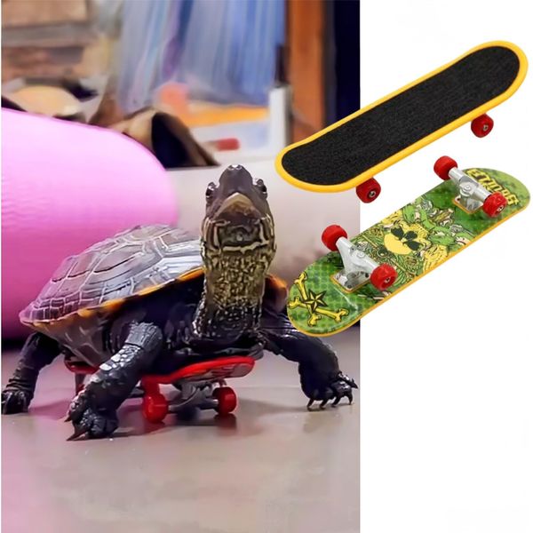 MANON ROSA Real Turtle Pet Toy Mini Skateboard Scooter Accessory for Bearded