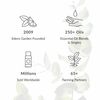 Patchouli 100% Pure Therapeutic Grade Essential Oil Pure - 30ml