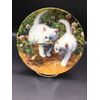 Kitties Find A Turtle, 8 1/2 Inch Clock !!