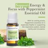 Pranarom Peppermint Essential Oil, 15mL, Pure, Aromatherapy