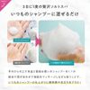 CLAYGE Fresh Cleansing Salt Shampoo 5.3 oz (150 g)
