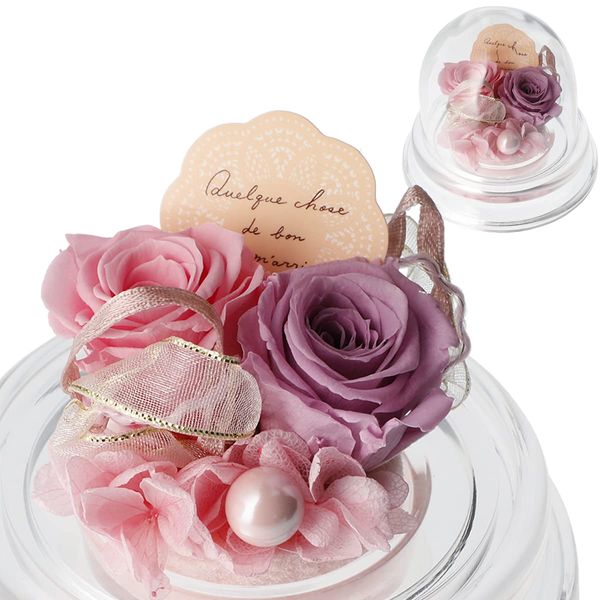 preserved flower gift petite (angel lavender)