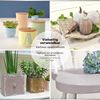 Viva Decor® Chalky Opaque Chalk Paint Set
