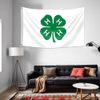 DecrPlus 4-H Clover Flag Education Flag (3x5Ft,Double-Sided,150D Polyester) For Educational Wall Art,Training Organization Classroom Decor