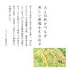 Rice & Grape Radiance Cream SPF12 PA++