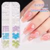 Nail Parts, Ribbon, Aurora Borealis, 3D, Nail Flower Parts, Semicircular Pearl, Nail Art Parts, Rose, Camellia, Butterfly, Nail Deco Parts, Handmade Resin, Handicraft, Jewelry Parts, 2 Case Included