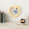Sanrio 777200 Pompompurin Display Frame (Enjoy Idol)