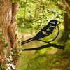 New House Sparrow Black Steel Tree Spike