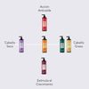Ebers Champú Estimulante 250ml