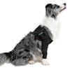 Recovery Double Sleeves - Medium - Black - Tutore arto per Cane