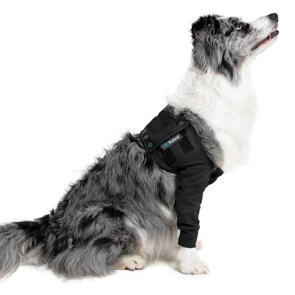 Recovery Double Sleeves - Medium - Black - Tutore arto per Cane
