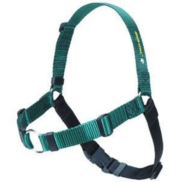 Softouch Sense ation No Pull Dog Harness Green Large