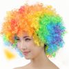 Samcos Wig, Clown Wig, Bomber, Afro Wig, 1 Set, Afro Wig, Net, Stand Out, Cosplay, Party, Stage, Show, Unisex, Costume, Accessory, Halloween Costume, Rainbow
