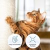 PETMAKER Cat Tree and Scratcher- Two Sisal Scratching Posts, Hammock Style