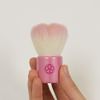 FWS – Pi 熊野 Brush Hex Theater Hall of Sakura Flower Face Brush Pink Goat Hair/PBT 混毛