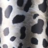 Bio Sculpture Mirror Foil Snow Leopard 3.3 ft (1 m)
