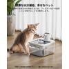 DownyPaws 6 Pack Replacement Filter for Cat Water Fountains, DPWFP6 3 Months Replacement Filter Set
