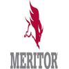 Meritor Genuine Nut - R301107