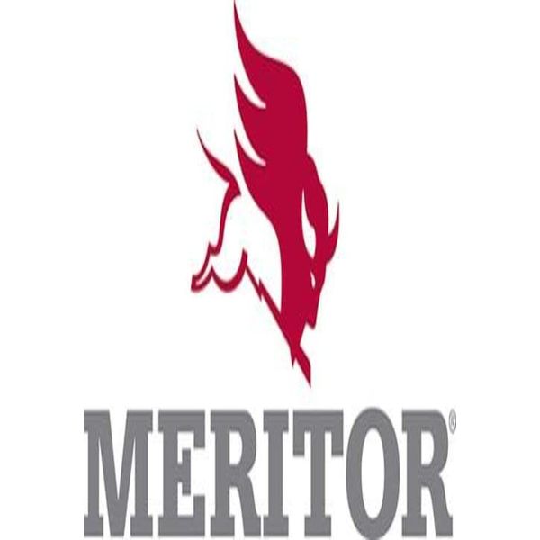 Meritor Genuine Nut - R301107