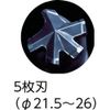 DLSDS200