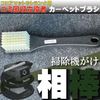 Rooke Brush Set of 2 Seat Ceiling Brushes Carpet Brushes
