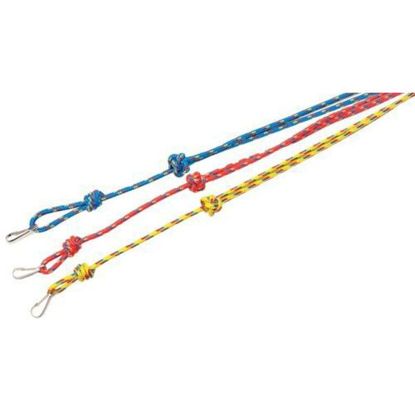 Bisley 3mm Multi Coloured Lanyards : Blue