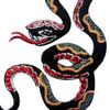 Pattern Snake Embroidered Badge Iron On Sew On Patch