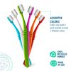 Preserve Toothbrushes with Travel Case, Medium Bristles, (Pack of 6) (Colors Vary)
