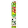 Onigiri Foil Lucky Clover