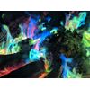 Mystical Fire - Set of 10 Sachets