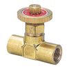 Flowbar Brass Double Female Needle Valve MVFW-01S 1/8