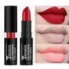 12 Colours Vintage Waterproof Vivid Vampire Matte Lipstick Set, BEEXY Long Lasting Velvet Lip Stick for Party, Masquerade, Cosplay, Halloween Makeup