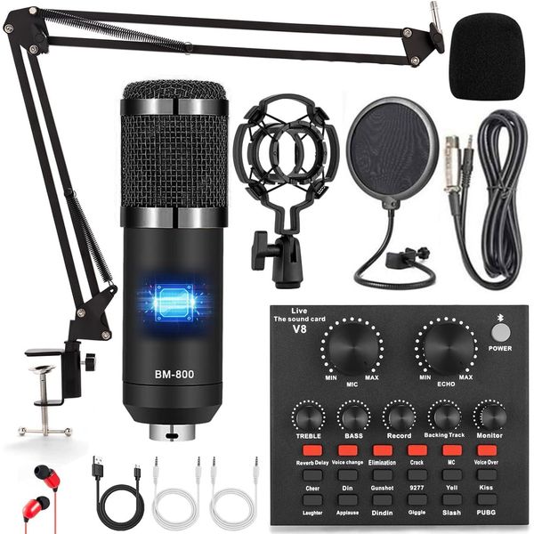 ALPOWL Podcast Equipment Bundle, Audio Interface with Voice Changer and BM800