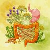 Digestive Support Herbal Blend Gas Bloating Ingestion EASY Liquid Drops USA