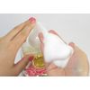 Michel Design Works Scented Foaming Hand Soap, Ho Ho Ho