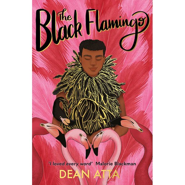 The Black Flamingo: Winner of the Stonewall Book Award