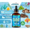 2 Pack Stem Cell Supplements Celulas Madres & Adaptogenic Mushrooms Restore Rech